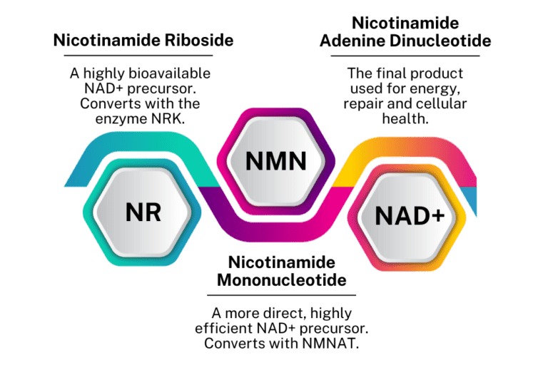 NAD+ Precursors