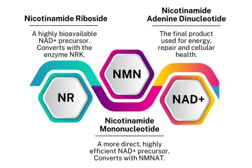 NAD+ Precursors